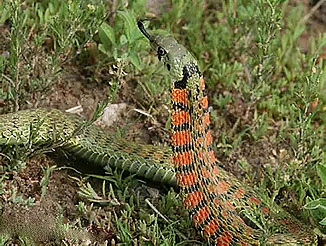 湖北,中部崛起的璀璨明珠之光