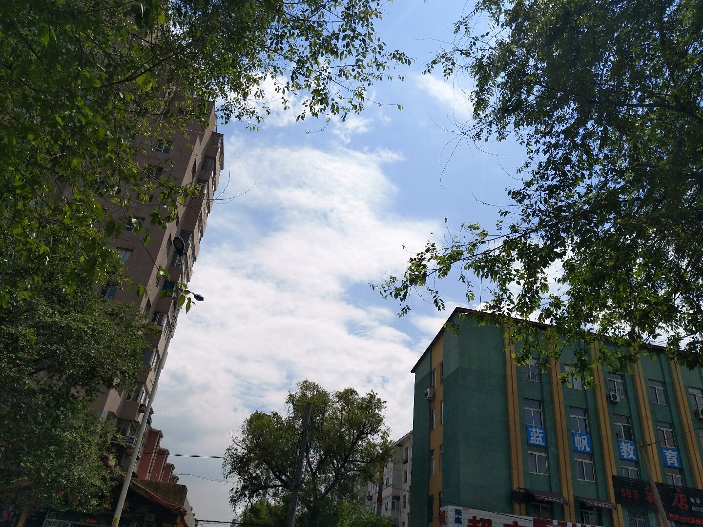 龙潭区,都市繁华中的宁静绿洲