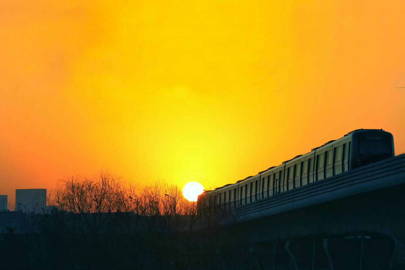 朝阳,无尽活力与生机四溢的可能世界